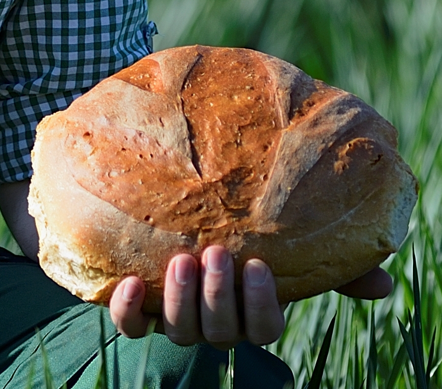gutes Brot